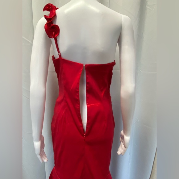 Nina Ferre Women’s Evening Gown - Picture 9 of 14